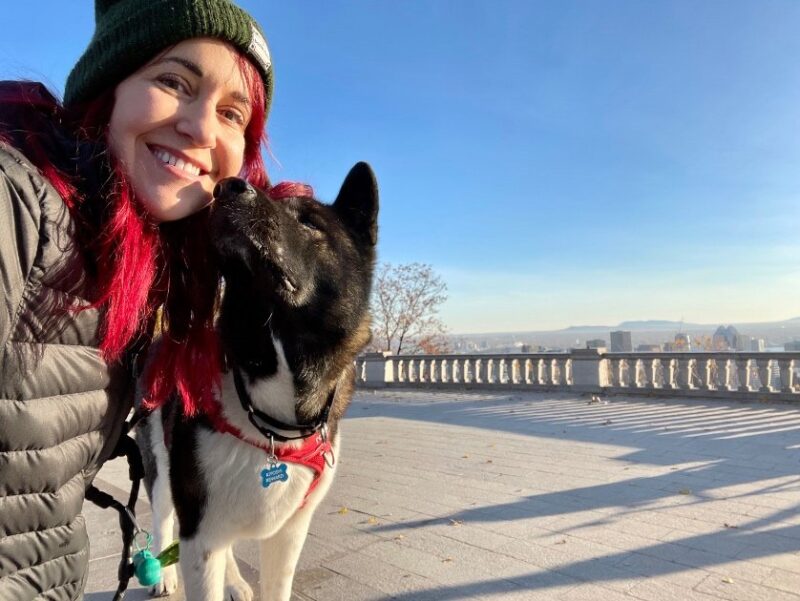 traveling-with-a-large-dog-1