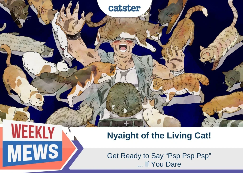 Catster_Weekly-Mews-Nyight-of-the-Living-Cat-scaled.jpg.webp