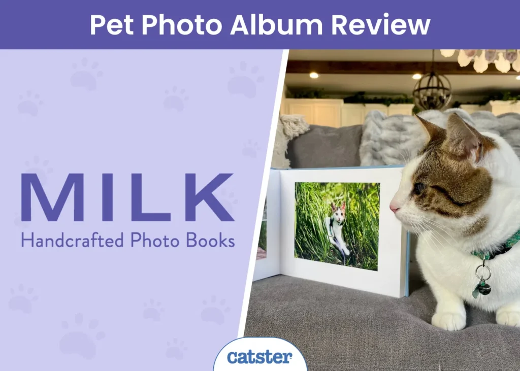 MILK-Books-Pet-Photo-Album-Review-featured-image.png.webp
