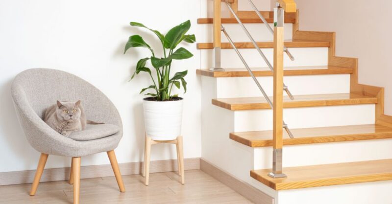 uk-home-improvement_Expert-Tips-for-a-Safe-and-Stylish-Staircase-Renovation-960x500-c-center-1.jpg-1