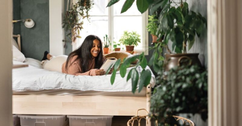 uk-home-improvement_What-Plants-are-Good-for-Bedrooms-960x500-c-center.jpg